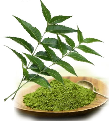 Neem Powder