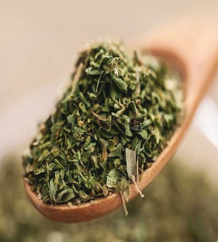 Oregano